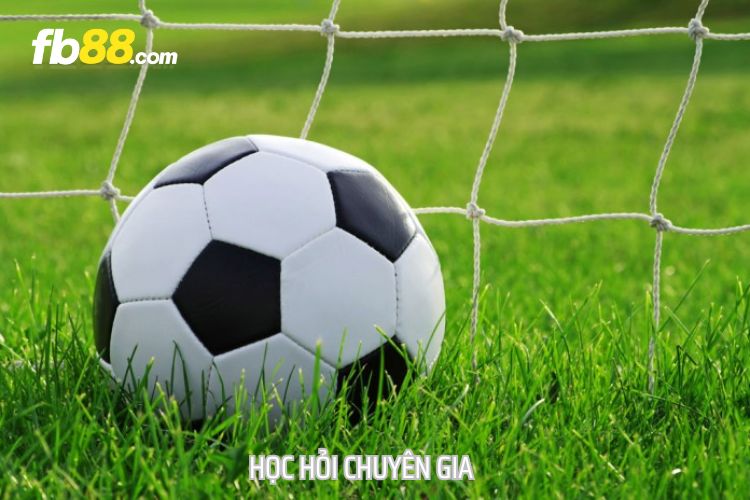 Học hỏi chuyên gia