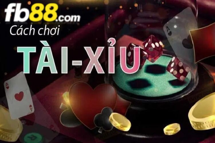 Các bước cá cược Sicbo tại nhà cái