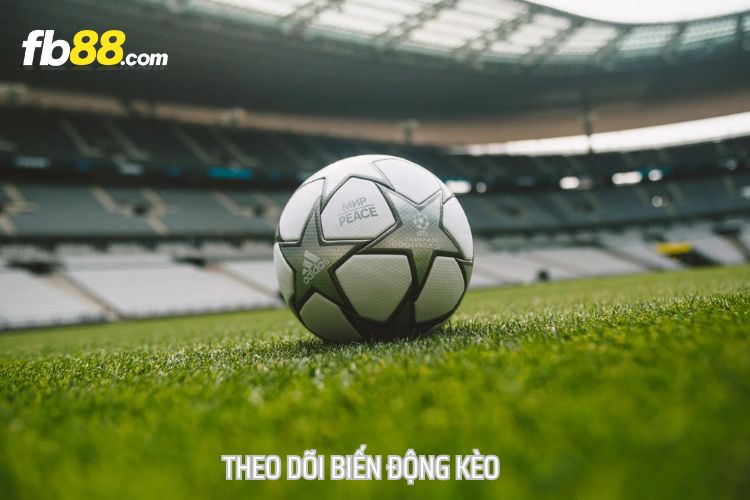 Theo dõi biến động kèo